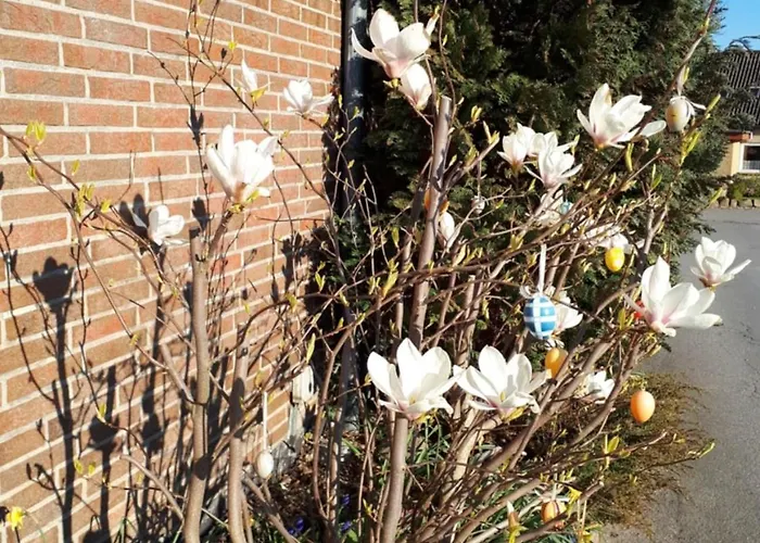 Haus Veronika * Fehmarn